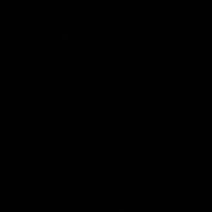 Meet your Posher, Alonso